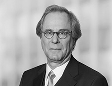 Prof. em. Dr. Dr. h.c. Ulrich  Battis