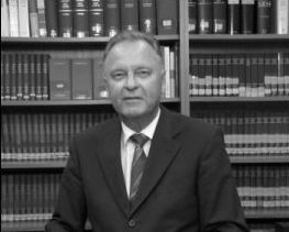 Prof. Dr. Dres. h.c. mult. Hans-Jürgen  Papier